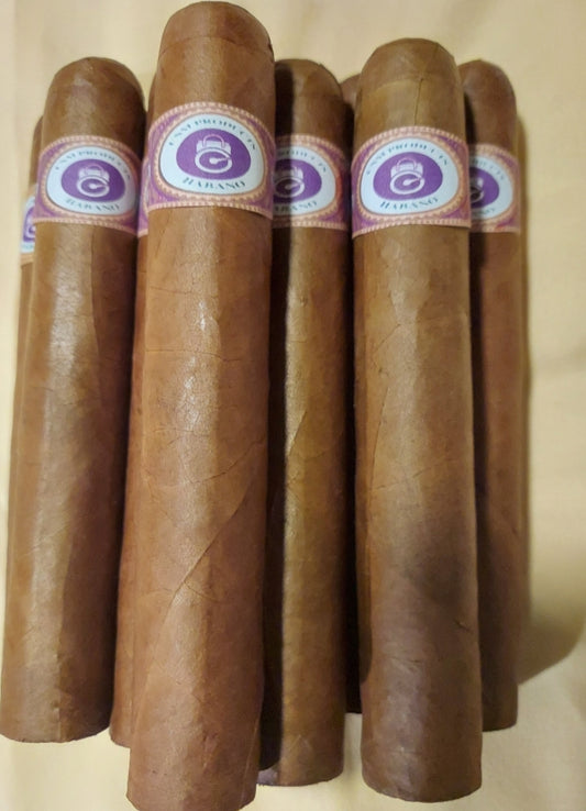 10 Habano blend Cigars with Humidor