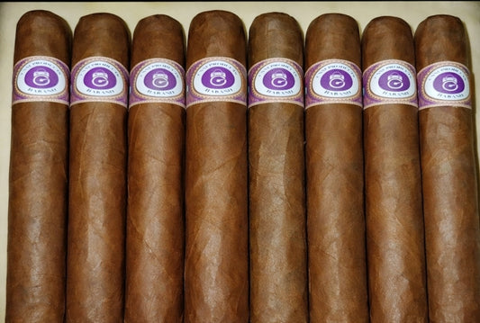25 Habano Blend Cigars Bundle